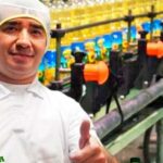 Ofertas de trabajo en Olmeca